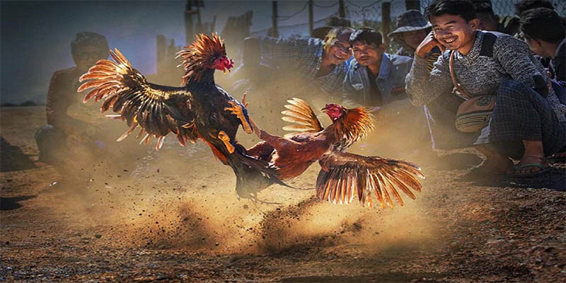 meme ok xổ số bữa nay