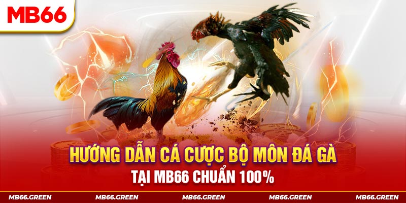meme ok slot là gi