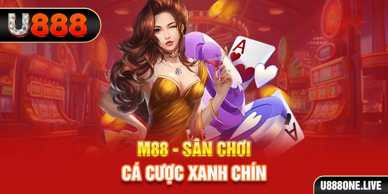 meme ok kết quả xổ số miền trung hôm nay