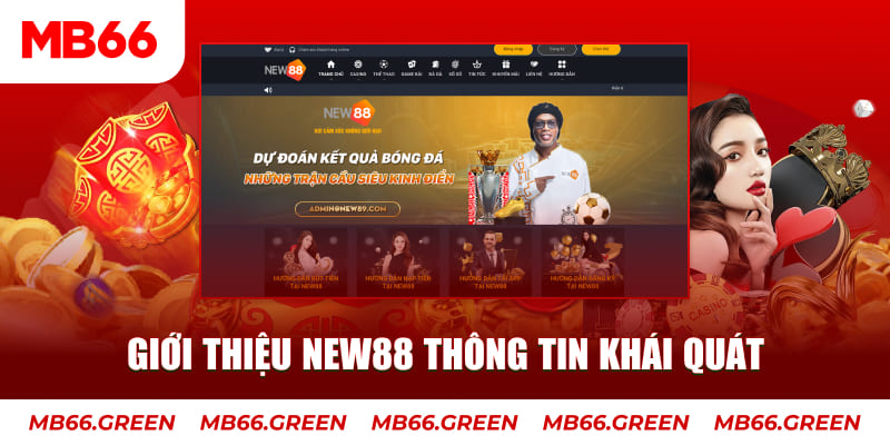 meme ok Tung Đồng Xu
