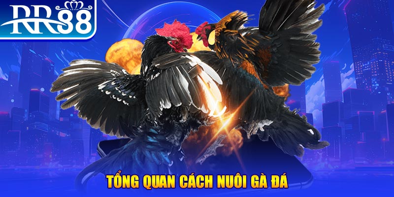 meme ok game nổ hũ rút tiền mặt là gì