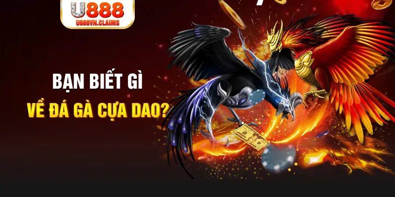 meme ok SW Xổ Số