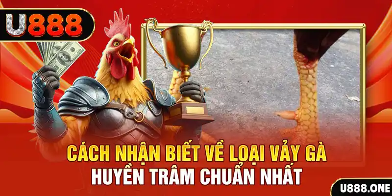 meme ok đăng nhập nổ hũ số 1