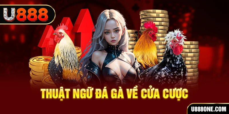meme ok hơn cả bạn bè