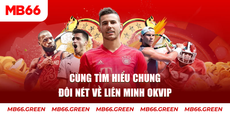 meme ok đá gà trực tiếp bình luận viên