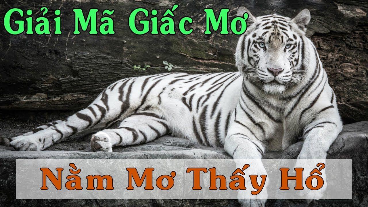 meme ok nổ hũ là game gì