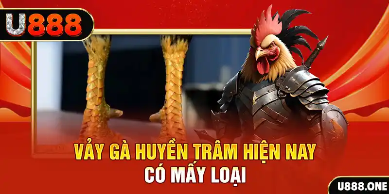 meme ok xổ số bình định