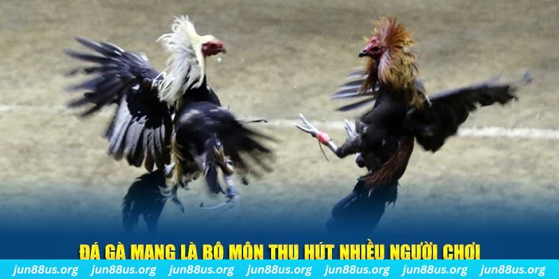 meme ok nổ hủ nghĩa là gì
