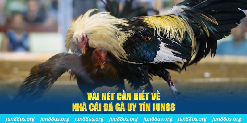 meme ok đăng nhập phỏm khuyến mãi