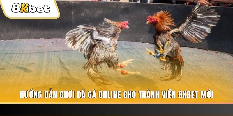 meme ok JILI Game Bài 3d