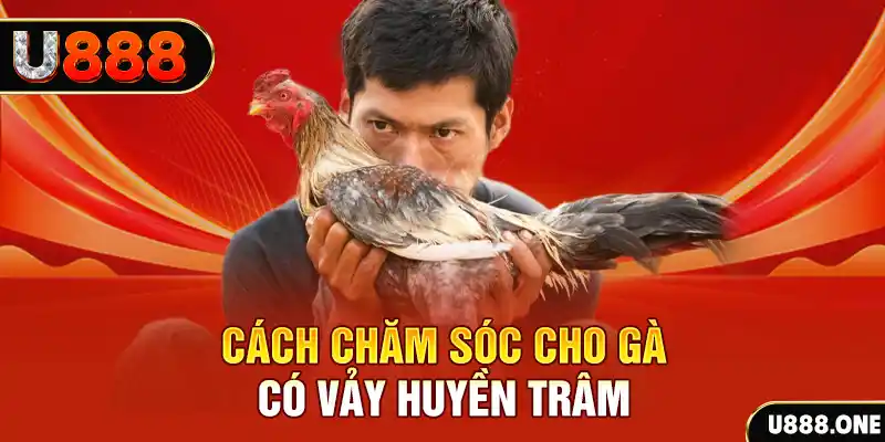 meme ok bắn cá xèng 3