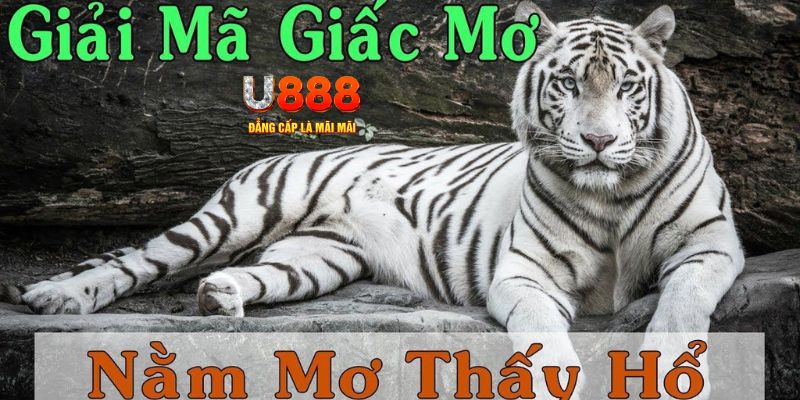 meme ok xổ số miền bắc xổ số miền bắc