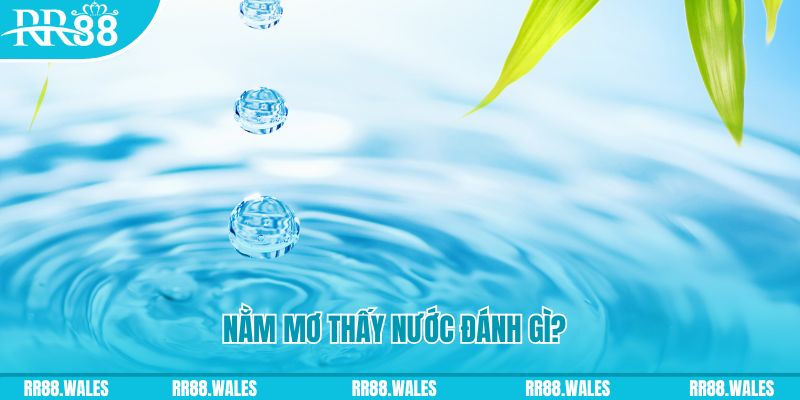 meme ok TCG Xổ Số