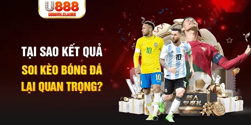 meme ok Tôm Cua Cá 2