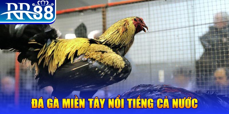 meme ok xổ số đại phát