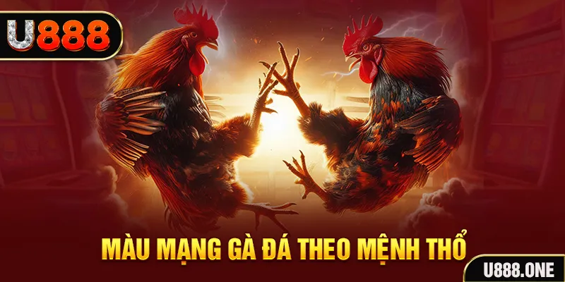 meme ok đăng nhập sòng bạc hàng đầu