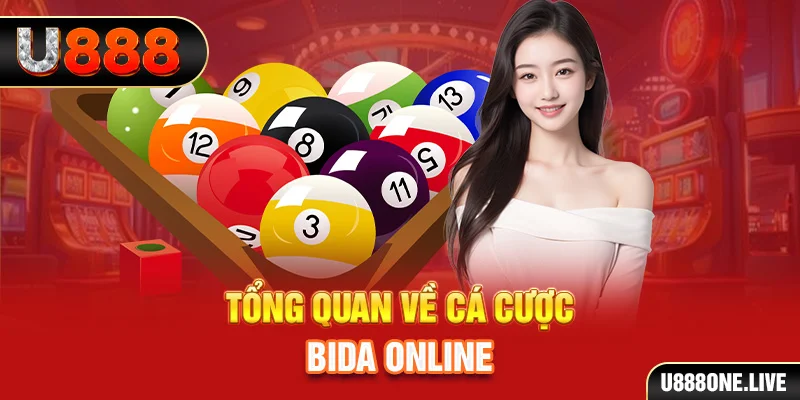 meme ok kết quả xổ số kiến thiết miền bắc