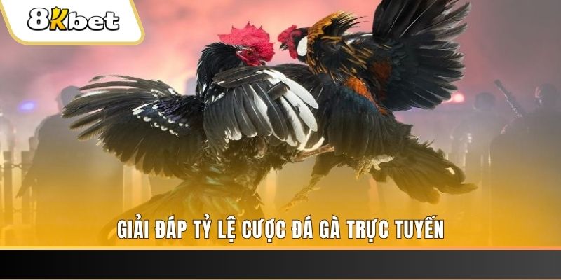 meme ok ga choi cau thanh