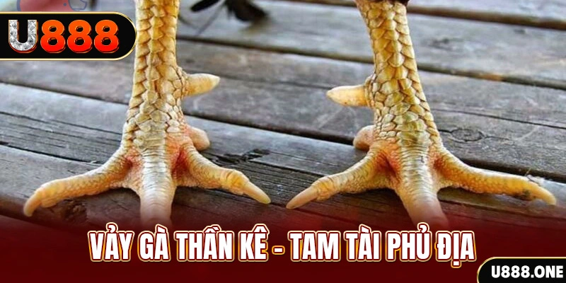 meme ok xổ số miền trung thứ hai hàng tuần