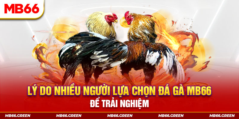 meme ok đăng nhập liêng trực tiếp