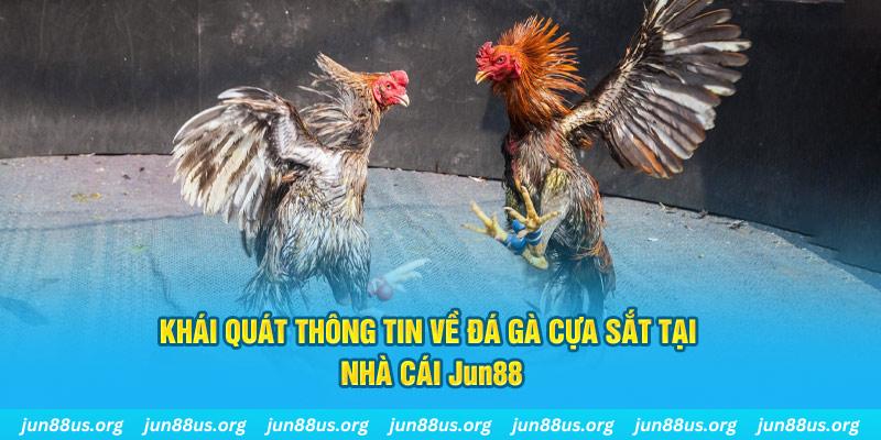 meme ok xổ số miền bắc thứ bảy hàng tuần