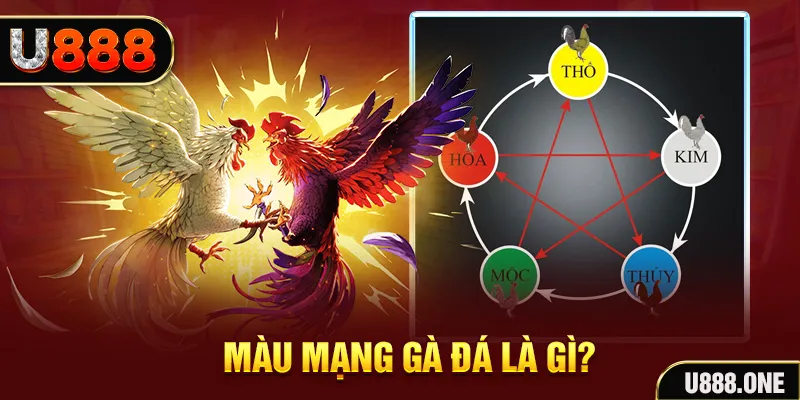 meme ok xổ số miền trung thứ tư hàng tuần