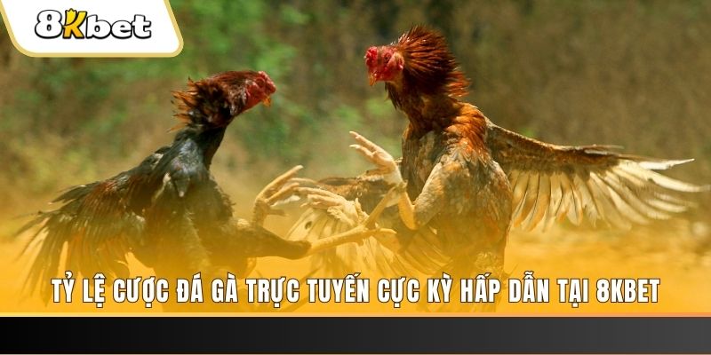meme ok đăng nhập nổ hũ trực tuyến