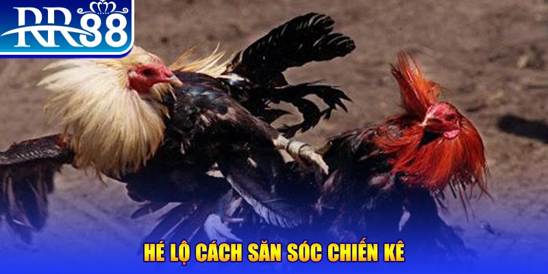 meme ok xổ số miền trung thứ tư