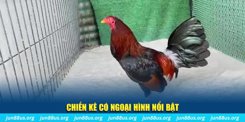 meme ok game bắn cá