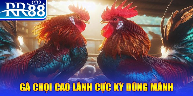 meme ok HB Điện Tử