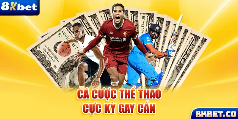 meme ok xem đá gà trực tiếp